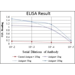 PC4 and SFRS1-Interacting Protein (PSIP1) Antibody