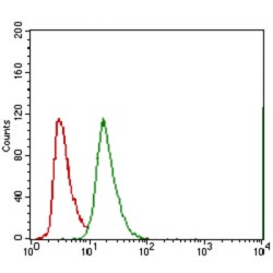 ATP Binding Cassette Subfamily G Member 5 (ABCG5) Antibody