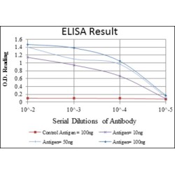 Carcinoembryonic Antigen (CEACAM5) Antibody