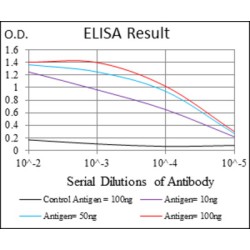 Chondroitin Sulfate Proteoglycan 4 (CSPG4) Antibody