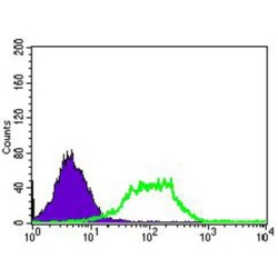 Guanylate Cyclase 1 Soluble Subunit Alpha 1 (GUCY1A1) Antibody