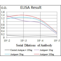 DNA-Binding Protein Inhibitor ID-2 (ID2) Antibody