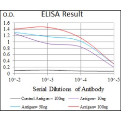 Integrin Alpha IIb / CD41 (ITGA2B) Antibody