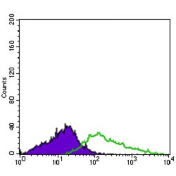 Integrin Alpha IIb / CD41 (ITGA2B) Antibody