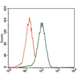 Polyhomeotic-Like Protein 1 (PHC1) Antibody