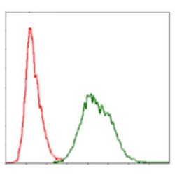 Polyubiquitin-B (UBB) Antibody