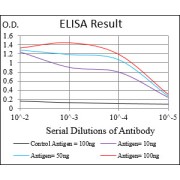 Fig. 1. Black line: Control Antigen (100 ng); Purple line: Antigen(10ng); Blue line: Antigen (50 ng); Red line: Antigen (100 ng)