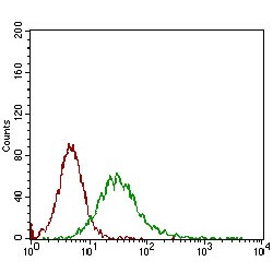 Macrosialin (CD68) Antibody