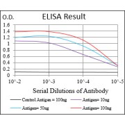 Fig. 1. Black line: Control Antigen (100 ng); Purple line: Antigen(10ng); Blue line: Antigen (50 ng); Red line: Antigen (100 ng)