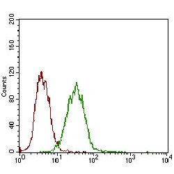 Epithelial Cell Adhesion Molecule (EPCAM) Antibody