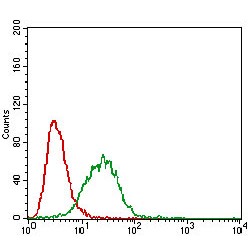 Caveolin-2 (CAV2) Antibody