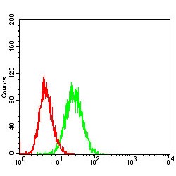 Platelet Glycoprotein 4 (CD36) Antibody