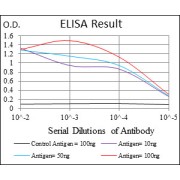 Fig. 1. Black line: Control Antigen (100 ng); Purple line: Antigen(10ng); Blue line: Antigen (50 ng); Red line: Antigen (100 ng)