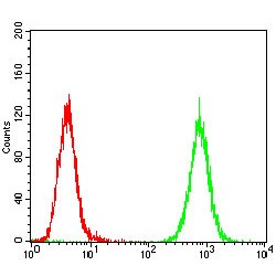 Platelet Derived Growth Factor Receptor Alpha (PDGFRA) Antibody