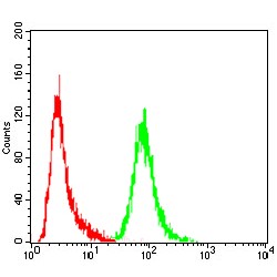 Annexin A5 (ANXA5) Antibody