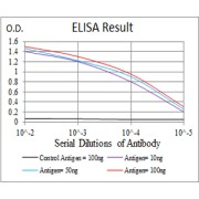 Fig. 1. Figure 1:Black line: Control Antigen (100 ng); Purple line: Antigen(10ng); Blue line: Antigen (50 ng); Red line: Antigen (100 ng)