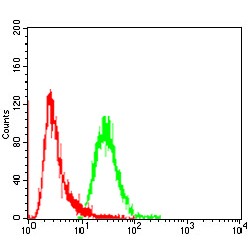 Fibroblast Growth Factor Receptor 3 (FGFR3) Antibody