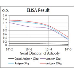 Neuroendocrine Secretory Protein 55 (GNAS) Antibody