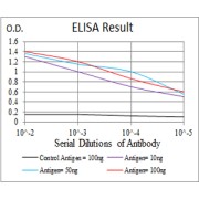 Fig. 1. Figure 1:Black line: Control Antigen (100 ng); Purple line: Antigen(10ng); Blue line: Antigen (50 ng); Red line: Antigen (100 ng)