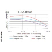 Fig. 1. Black line: Control Antigen (100 ng); Purple line: Antigen(10ng); Blue line: Antigen (50 ng); Red line: Antigen (100 ng)