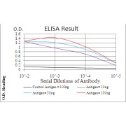 Fig. 1. Black line: Control Antigen (100 ng); Purple line: Antigen(10ng); Blue line: Antigen (50 ng); Red line: Antigen (100 ng)