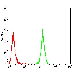 Emerin (EMD) Antibody