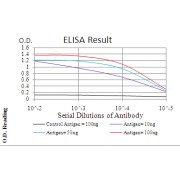 Fig. 1. Black line: Control Antigen (100 ng); Purple line: Antigen(10ng); Blue line: Antigen (50 ng); Red line: Antigen (100 ng)