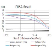 Fig. 1. Black line: Control Antigen (100 ng); Purple line: Antigen(10ng); Blue line: Antigen (50 ng); Red line: Antigen (100 ng)