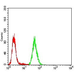 E3 SUMO-Protein Ligase CBX4 (CBX4) Antibody