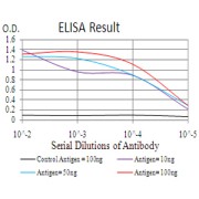 Fig. 1. Black line: Control Antigen (100 ng); Purple line: Antigen(10ng); Blue line: Antigen (50 ng); Red line: Antigen (100 ng)