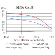 Fig. 1. Black line: Control Antigen (100 ng); Purple line: Antigen(10ng); Blue line: Antigen (50 ng); Red line: Antigen (100 ng)