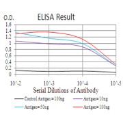 Fig. 1. Black line: Control Antigen (100 ng); Purple line: Antigen(10ng); Blue line: Antigen (50 ng); Red line: Antigen (100 ng)