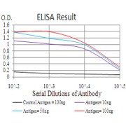 Fig. 1. Black line: Control Antigen (100 ng); Purple line: Antigen(10ng); Blue line: Antigen (50 ng); Red line: Antigen (100 ng)