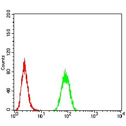 E3 Ubiquitin-Protein Ligase RAD18 (RAD18) Antibody