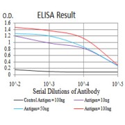 Fig. 1. Black line: Control Antigen (100 ng); Purple line: Antigen(10ng); Blue line: Antigen (50 ng); Red line: Antigen (100 ng)