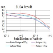 Fig. 1. Black line: Control Antigen (100 ng); Purple line: Antigen(10ng); Blue line: Antigen (50 ng); Red line: Antigen (100 ng)