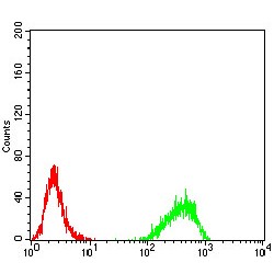 DNA (cytosine-5)-Methyltransferase 3B (DNMT3B) Antibody