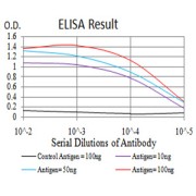 Fig. 1. Black line: Control Antigen (100 ng); Purple line: Antigen(10ng); Blue line: Antigen (50 ng); Red line: Antigen (100 ng)