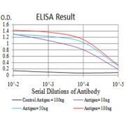 Fig. 1. Black line: Control Antigen (100 ng); Purple line: Antigen(10ng); Blue line: Antigen (50 ng); Red line: Antigen (100 ng)