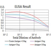 Fig. 1. Black line: Control Antigen (100 ng); Purple line: Antigen(10ng); Blue line: Antigen (50 ng); Red line: Antigen (100 ng)