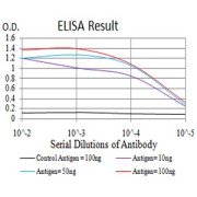 Fig. 1. Black line: Control Antigen (100 ng); Purple line: Antigen(10ng); Blue line: Antigen (50 ng); Red line: Antigen (100 ng)