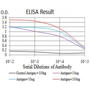 Fig. 1. Black line: Control Antigen (100 ng); Purple line: Antigen(10ng); Blue line: Antigen (50 ng); Red line: Antigen (100 ng)