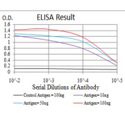 Fig. 1. Black line: Control Antigen (100 ng); Purple line: Antigen(10ng); Blue line: Antigen (50 ng); Red line: Antigen (100 ng)