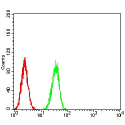 Leucine-Rich Repeat-Containing G-Protein Coupled Receptor 5 (LGR5) Antibody