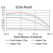 Fig. 1. Black line: Control Antigen (100 ng); Purple line: Antigen(10ng); Blue line: Antigen (50 ng); Red line: Antigen (100 ng)