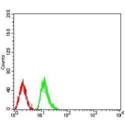 Histone H4 (HIST2H4A (20Me)) Antibody