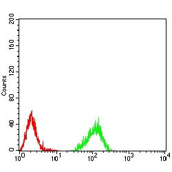 Histone H4 (HIST2H4A (20Me3)) Antibody