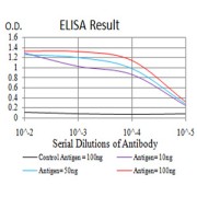 Fig. 1. Black line: Control Antigen (100 ng); Purple line: Antigen(10ng); Blue line: Antigen (50 ng); Red line: Antigen (100 ng)