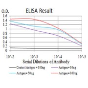 Fig. 1. Black line: Control Antigen (100 ng); Purple line: Antigen(10ng); Blue line: Antigen (50 ng); Red line: Antigen (100 ng)