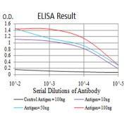 Fig. 1. Black line: Control Antigen (100 ng); Purple line: Antigen(10ng); Blue line: Antigen (50 ng); Red line: Antigen (100 ng)